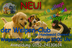It takes a village to raise a child/puppy - Lasst uns Teil eures Dorfes sein!